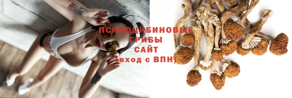 бошки Богородицк