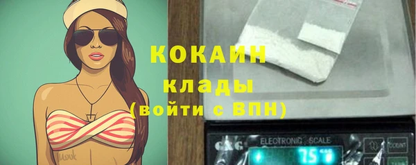 амф Бородино