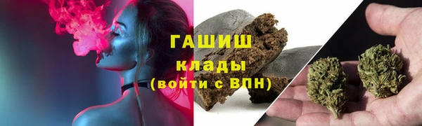 прущие грибы Снежинск