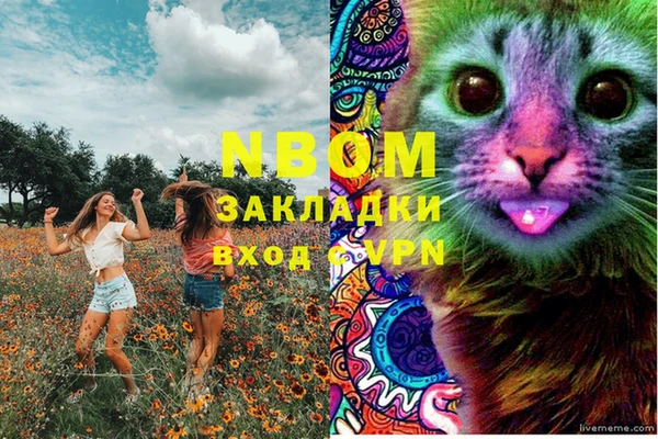 прущая мука Богородск