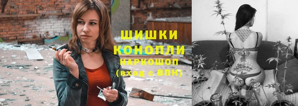 амф Бородино