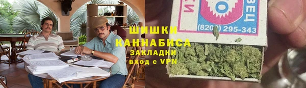 амф Бородино