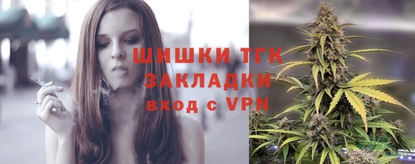амф Бородино